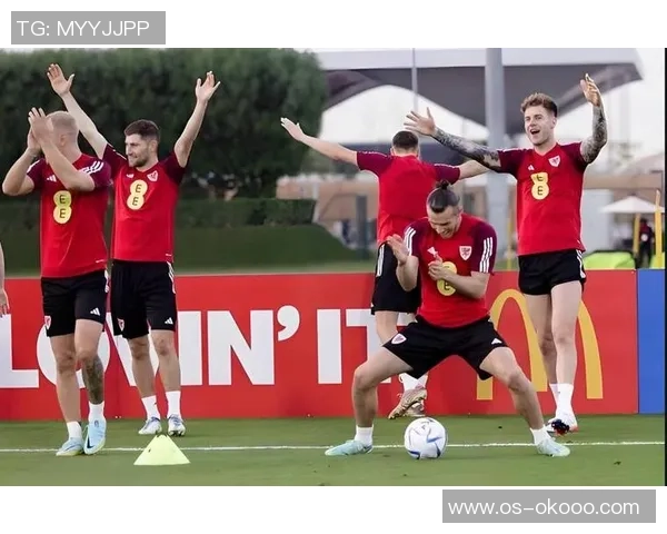 奥地利与挪威足球赛首发阵容分析及战术对比