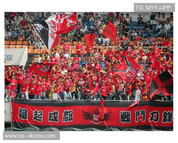 成都排球队速度之争引发热议球迷观点各异分析背后的战术与技术因素 成都排球队速度之争引发热议球迷观点各异分析背后的战术与技术因素